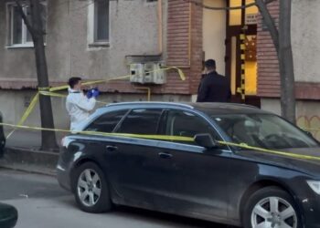 Crimă șocantă la Timișoara, chiar de 8 Martie: un bărbat și-a ucis mama/Video