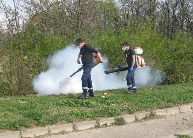 Timișoara: Încep tratamentele de dezinsecţie împotriva ţânţarilor și căpușelor