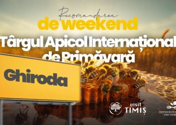 Visit Timiș te așteaptă la Târgul Apicol Internațional de la Ghiroda cu cele mai frumoase locuri și experiențe din județ!