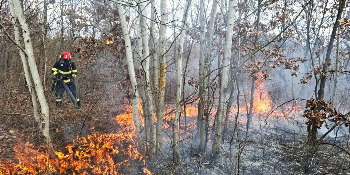 Incendiile de vegetație fac ravagii în Timiș: peste 100 de hectare arse în doar câteva săptămâni/Video
