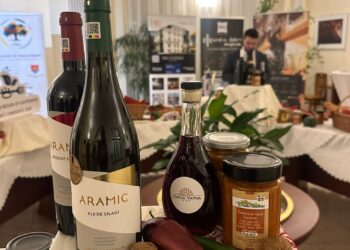 Județul Timiș, promovat la Berlin/Foto