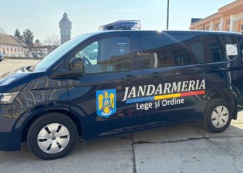 Peste 580 de misiuni ale jandarmilor timișeni într-o lună. Amenzi de peste 21.000 de lei