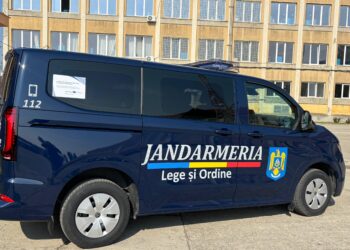 Peste 580 de misiuni ale jandarmilor timișeni într-o lună. Amenzi de peste 21.000 de lei