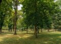 Primăria Timișoara amenajează trei parcuri noi – contractul de proiectare a fost semnat