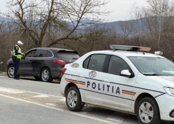 Razie de amploare pe DN 6, în Timiș: peste 200 de amenzi și 10 permise suspendate în doar patru ore/Foto