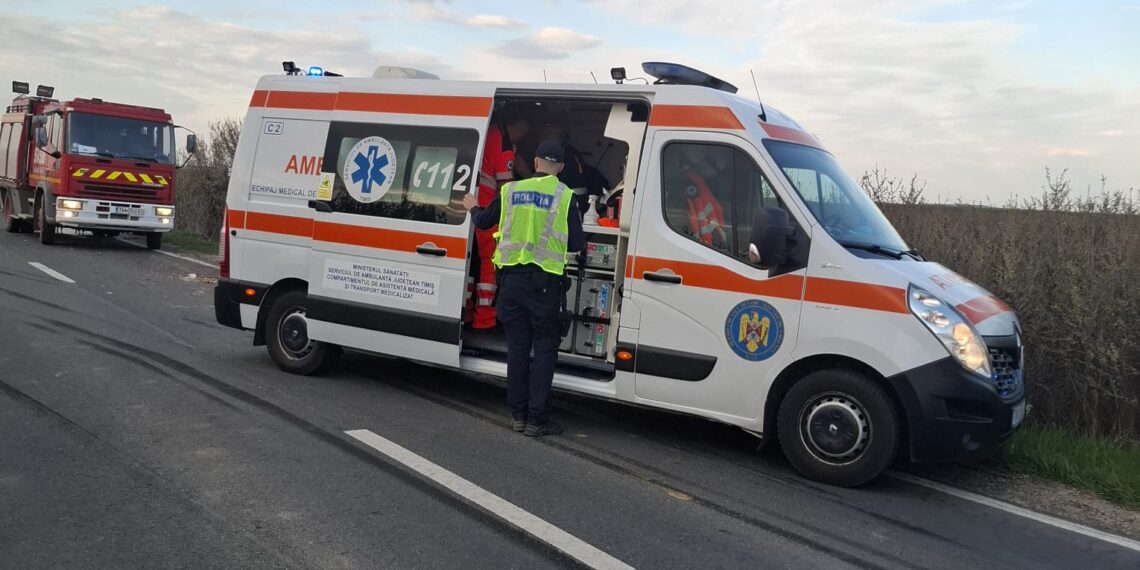 Accident pe DN 59B, la Cărpiniș: un bărbat rănit după impactul dintre o autoutilitară și o căruță/Video