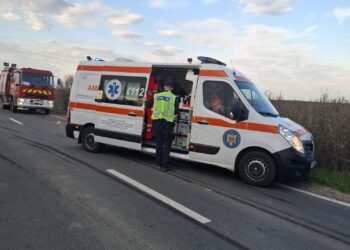 Accident pe DN 59B, la Cărpiniș: un bărbat rănit după impactul dintre o autoutilitară și o căruță/Video