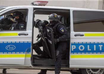 Ziua Poliției Române, celebrată la Timișoara: demonstrații spectaculoase și porți deschise pentru public