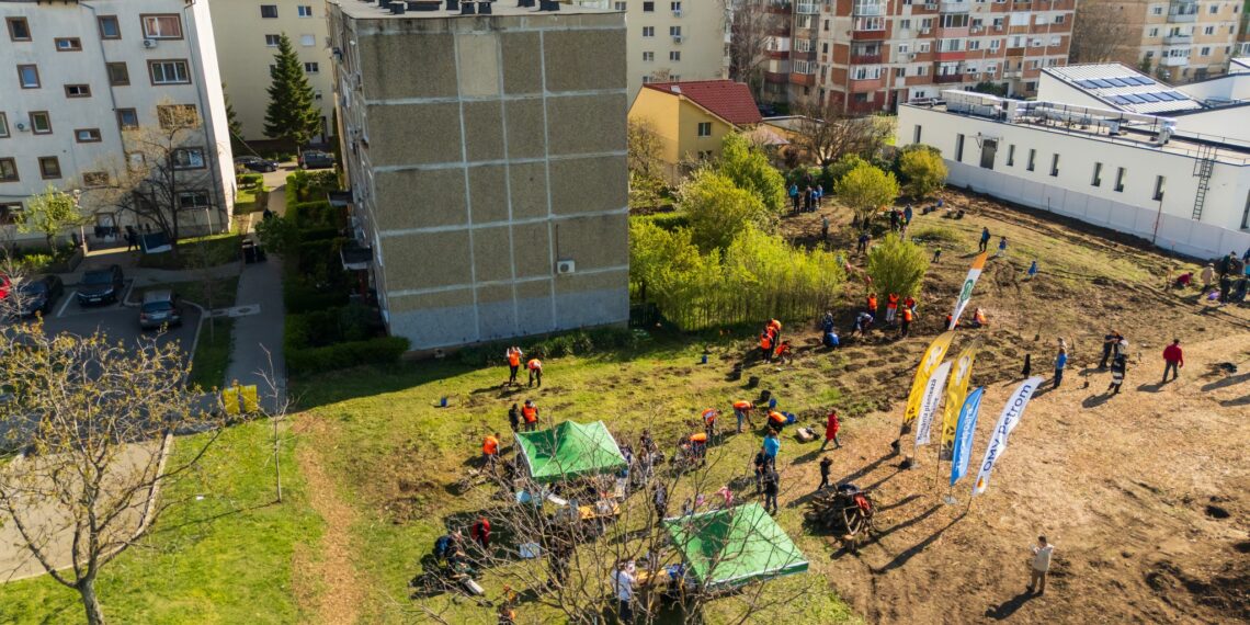Noi intervenții pentru biodiversitate în Timișoara: 2 mini-păduri urbane și 450 mp de pajiște pe malurile Begăi