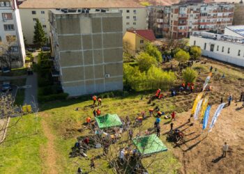 Noi intervenții pentru biodiversitate în Timișoara: 2 mini-păduri urbane și 450 mp de pajiște pe malurile Begăi