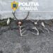 29 de percheziții în Arad: arme ilegale, muniție și sute de kilograme de carne de vânat, descoperite de polițiști