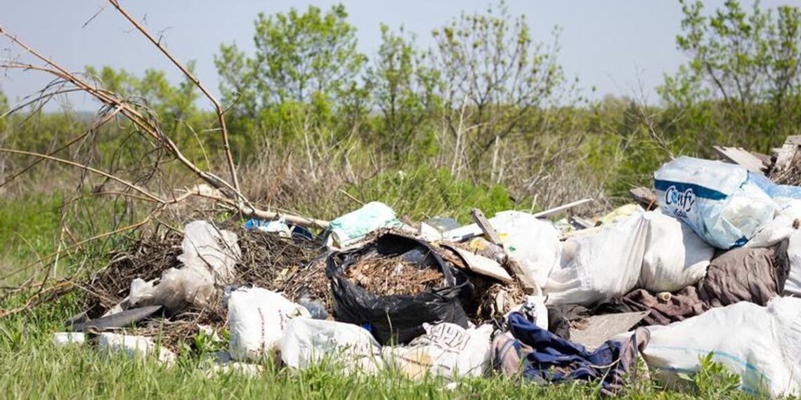 Timișoara curată: municipalitatea îndeamnă cetățenii să apeleze exclusiv la operatori autorizați pentru gestionarea deșeurilor