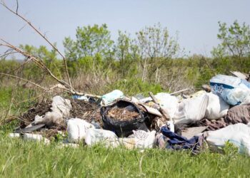 Timișoara curată: municipalitatea îndeamnă cetățenii să apeleze exclusiv la operatori autorizați pentru gestionarea deșeurilor