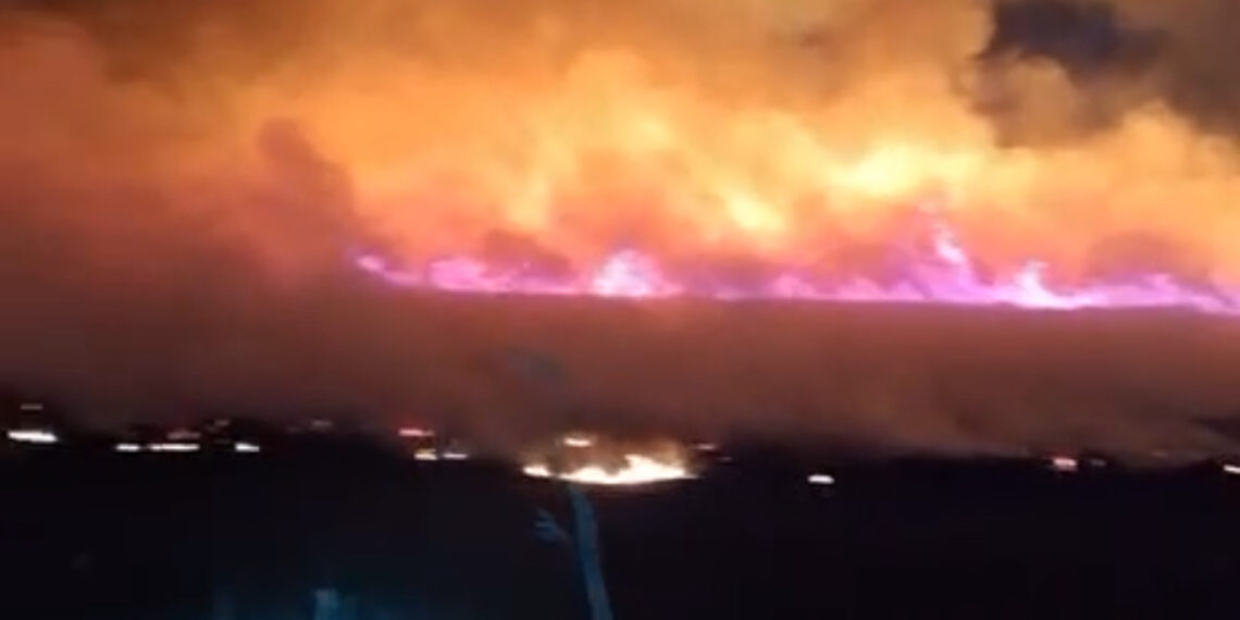 Incendiu izbucnit la vegetație uscată, în apropierea parcului de panouri fotovoltaice din localitatea Chișineu-Criș