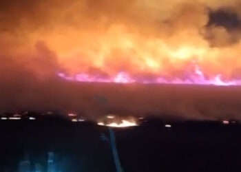 Incendiu izbucnit la vegetație uscată, în apropierea parcului de panouri fotovoltaice din localitatea Chișineu-Criș