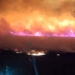 Incendiu izbucnit la vegetație uscată, în apropierea parcului de panouri fotovoltaice din localitatea Chișineu-Criș