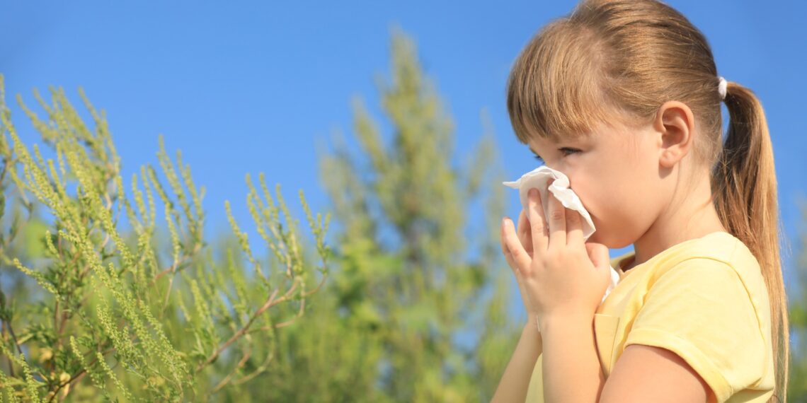 Ambrozia, pericol invizibil pentru sănătate. Mii de oameni afectați anual