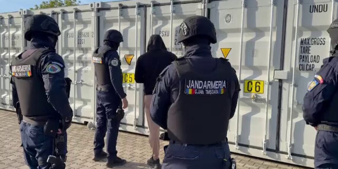 Lovitură împotriva contrafacerii în Timiș: mii de produse false descoperite în urma perchezițiilor