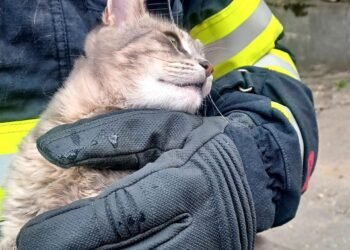 Aproape 300 de intervenții în mini-vacanța de Paște: pompierii timișeni, în alertă continuă