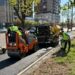 Primăria Timișoara continuă programul de reabilitare a trotuarelor în mai multe zone din oraș
