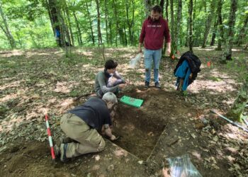 Campanie de extragere controlată a artefactelor metalice din situl arheologic Crivina–Leopoldsberg/Foto