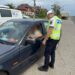 Razie pe DN 6: sute de șoferi verificați, zeci de permise reținute de polițiștii rutieri din Timiș