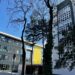 Universitatea Politehnica Timișoara lansează programul de studii Inginerie Chimică în limba engleză