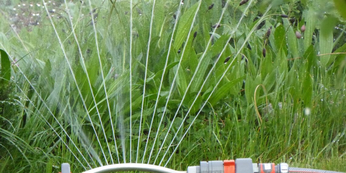 Aquatim: Apa de la rețea nu este pentru udatul grădinilor!