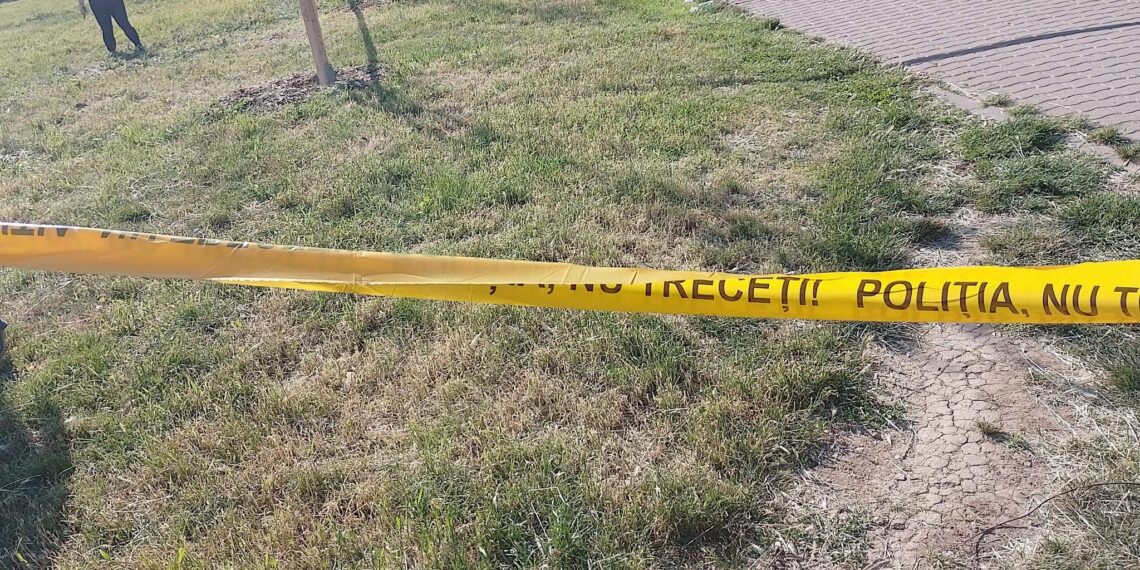 Bărbat înjunghiat în Parcul Pădurice. Doi suspecți, prinși după ce au fugit de la locul atacului