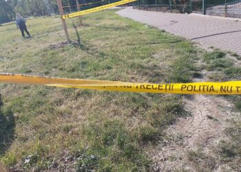 Bărbat înjunghiat în Parcul Pădurice. Doi suspecți, prinși după ce au fugit de la locul atacului