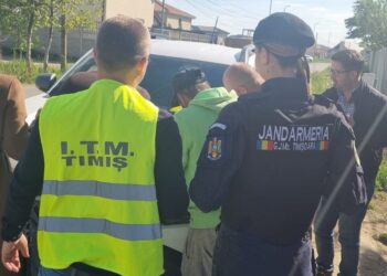 Amenzi în valoare de 1.266.500 lei pentru neregulile depistate de ITM Timiș în luna aprilie 2026