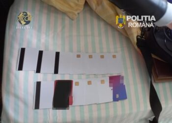 Administrator de hotel din Dubova, acuzat de fraude informatice de sute de mii de lei. Procurorii DIICOT au cerut arestarea preventivă