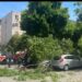 Intervenție a pompierilor la Timișoara: copac prăbușit peste trei mașini parcate