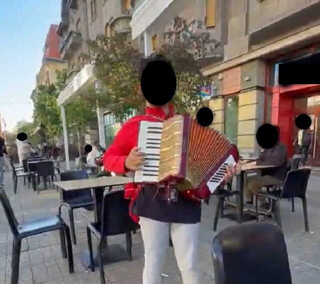O altă formă de cerșetorie la Timișoara – tânăr de 19 ani și minor de 10 ani depistați în centrul orașului cântând la acordeon pentru a câștiga bani