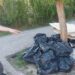 Bărbat sancționat cu 30.000 de lei pentru că a abandonat 25 de saci cu deșeuri pe Strada Platanilor