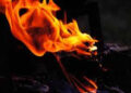 Patru mașini au ars în Timișoara după un incendiu de vegetație. Un bărbat a fost reținut