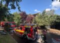 Update. Femeia a murit. Incendiu izbucnit la o casă din Timișoara. O femeie s-a aruncat de la mansardă/Foto-Video