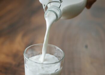 Alimentație sănătoasă pentru elevii din Timiș: CJ Timiș continuă Programul pentru școli 2023–2029