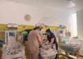 Timișoara devine centru regional de pregătire în terapia intensivă neonatală. Medici din toată țara participă la un program specializat
