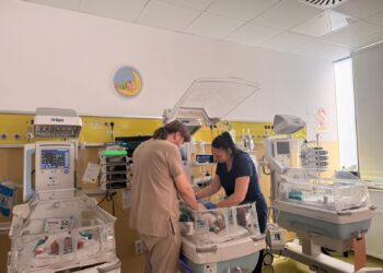 Timișoara devine centru regional de pregătire în terapia intensivă neonatală. Medici din toată țara participă la un program specializat