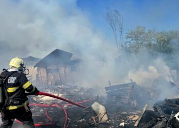 Flăcări devastatoare la Lugoj: două anexe distruse, animale salvate în ultimul moment