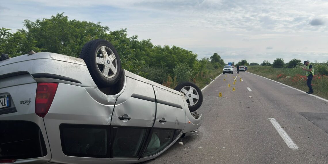 Accident între o mașină și o căruță în Timiș: calul a murit, trei persoane au ajuns la spital