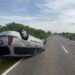 Accident între o mașină și o căruță în Timiș: calul a murit, trei persoane au ajuns la spital