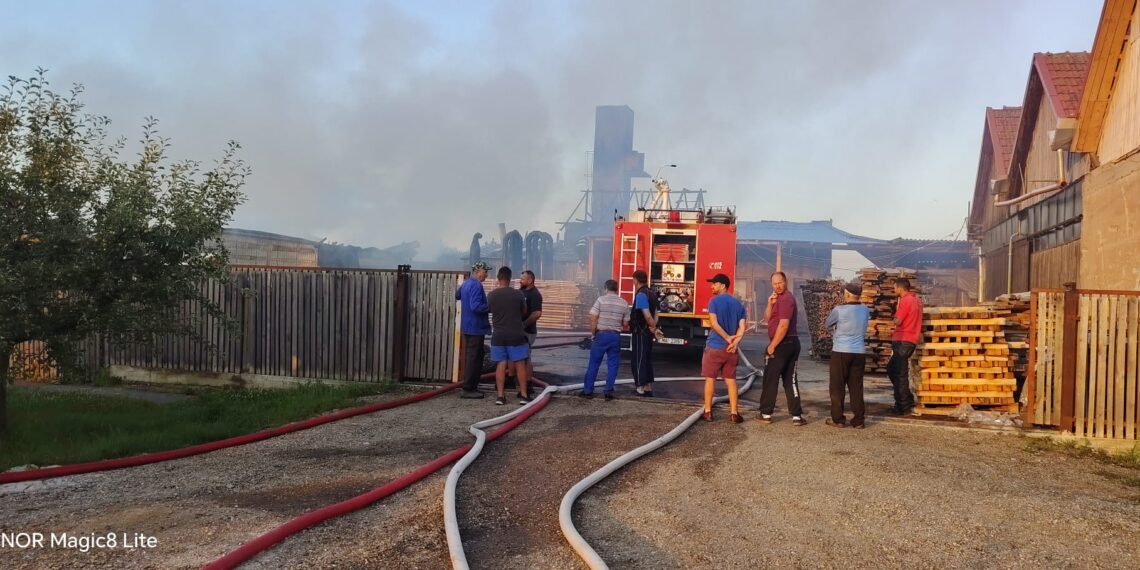 Incendiu la o fabrică de prelucrare a lemnului