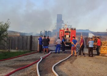 Incendiu la o fabrică de prelucrare a lemnului