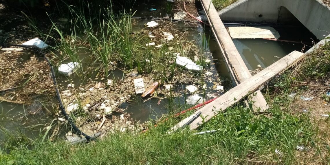 Amendă de 40.000 de lei după un control al Gărzii de Mediu Timiș privind evacuarea apelor într-un canal ANIF