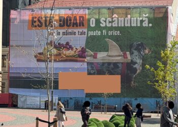 Noi acțiuni pentru verificarea respectării legislației privind publicitatea –  sancțiuni în valoare 745.000 de lei aplicate de polițiștii locali în tot orașul