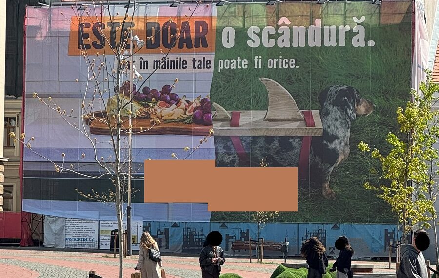 Noi acțiuni pentru verificarea respectării legislației privind publicitatea –  sancțiuni în valoare 745.000 de lei aplicate de polițiștii locali în tot orașul
