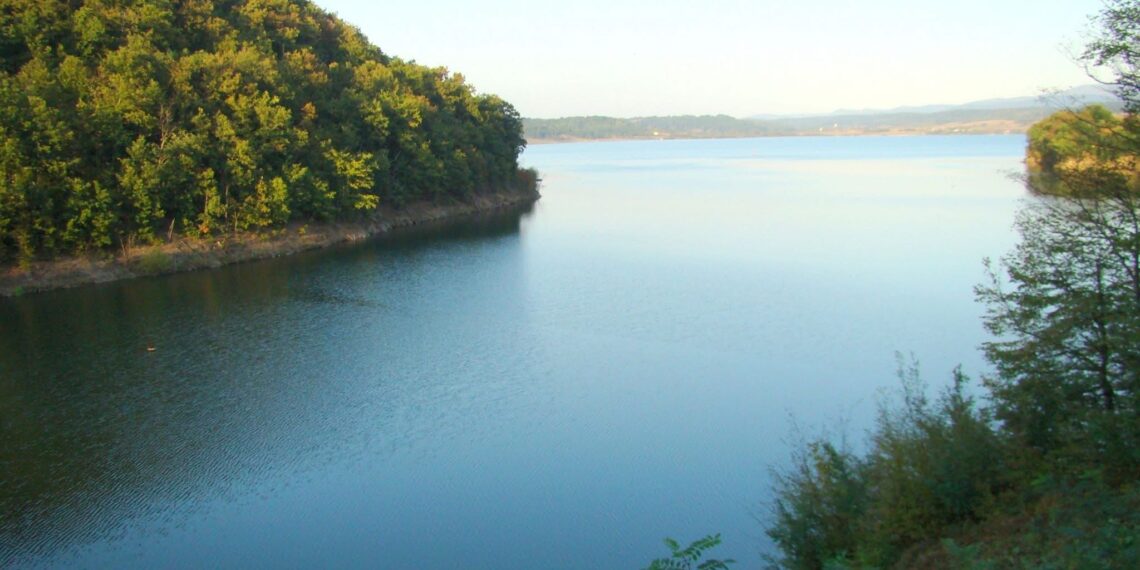 Investiție de un milion de lei la Lacul Surduc. Noi facilități pentru turiști, anunțate de Consiliul Județean Timiș