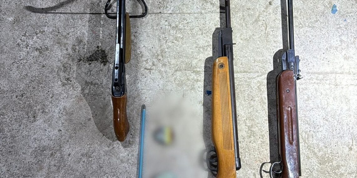 Percheziții în Timiș într-un dosar privind folosirea ilegală a armelor. Polițiștii au ridicat puști cu aer comprimat și o arbaletă